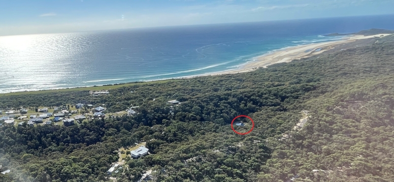 MAGPIES NEST AT ORCHID BEACH